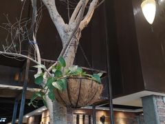 -临家闽南菜(翔安店)