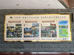 -诸城市恐龙博物馆