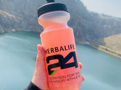 -黄埔油麻山森林公园