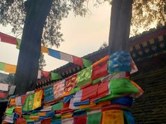 -西安市广仁寺