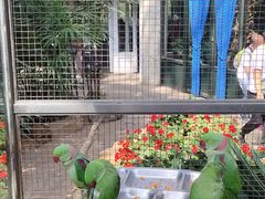 -大连森林动物园