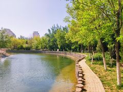 -绿岛公园(滨海新区)