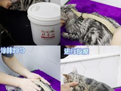 -瑞鹏宠物医院·眼科·皮肤·中兽医(大悦城分院)
