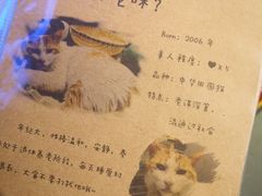 -小时光咖啡馆(开森度假森林店)