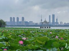 -云龙湖旅游景区