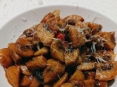 -靓蛙馆