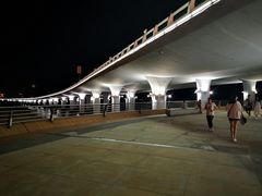 -演武大桥观景平台