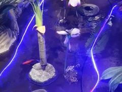 -城墙拐拐火锅(三峡广场黑金冠店)