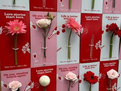 -ROAST coffee & eatery