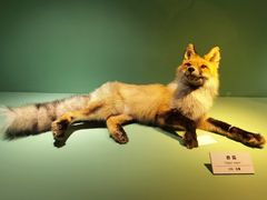 -国家自然博物馆