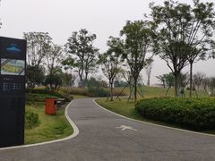 -府河摄影公园