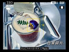 初见橙花-Jap Jap Cafe(美院店)