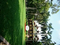 android_upload_pic-中山大学学者灵芝(园南路店)