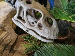 -自贡恐龙博物馆