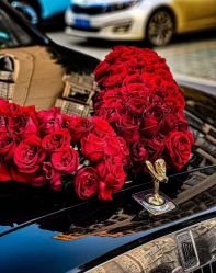 -喜乐汇·婚车(华润橡树湾3期店)