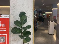 门面-狐狸爱上椰子鸡(滨江星光大道店)