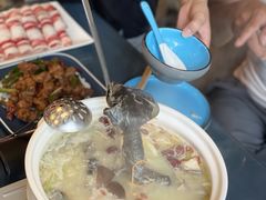 -金龙·打边炉(南京西路店)