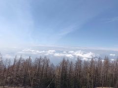-富士山吉田線五合目