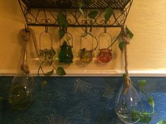 庭院咖啡-庭院咖啡