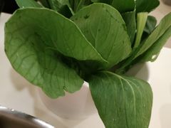 -一席地·本地鸡窝·杭帮鸡火锅(萧山银隆百货店)