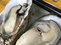 -蚝专家(北滘店)