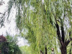 -南长河公园