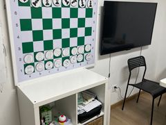 -常青藤国际象棋(新奥店)