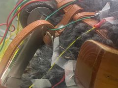 -美联众合动物医院·24h转诊中心