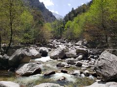 -青峰峡国家森林公园