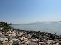 -深圳湾公园(南山区)