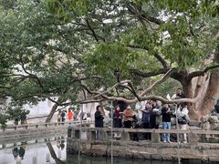 -西园戒幢律寺