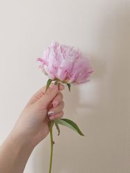 -Cici Nail日式美甲美睫工作室
