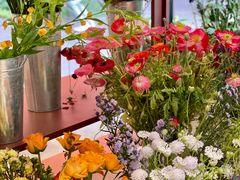 -二酉书店TOYOU BOOKS