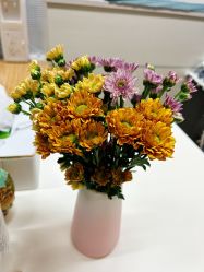 -维纳斯专业减肥