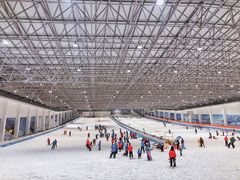 -绍兴启迪乔波冰雪世界