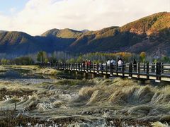 -泸沽湖国家级风景名胜区走婚桥
