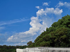 -金鸡山公园