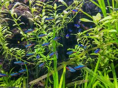 -上海海洋水族馆