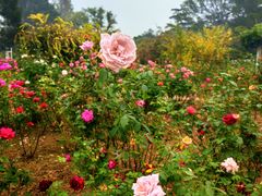 -国家植物园南园