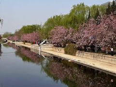 -海棠花溪(元大都城垣遗址公园)
