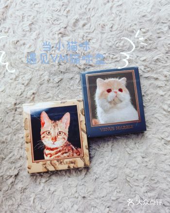 萌猫露娜 | 当小猫咪看到小猫咪眼影盘