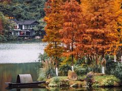 -重庆彩云湖湿地公园