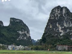 -明仕田园