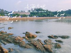 -华源餐厅·海鲜大排档(日月贝店)