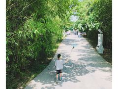 -西安秦岭野生动物园