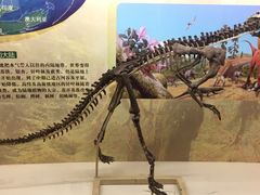 -嘉荫恐龙国家地质公园