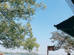 -西湖外事游船(花港观鱼码头)