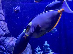 -成都浩海立方海洋公园