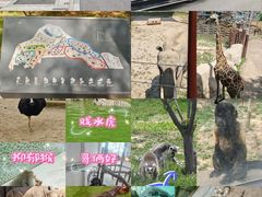 -太原动物园