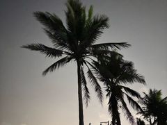 -西秀海滩公园